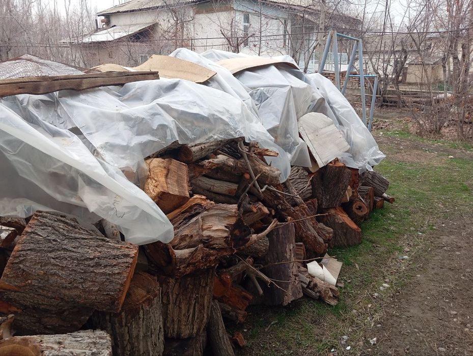 у'тин сотилади. продаётся дрова. йонг'ок, чинор, медали дарахтлар