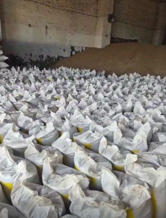 Пшеница ячмень зерно