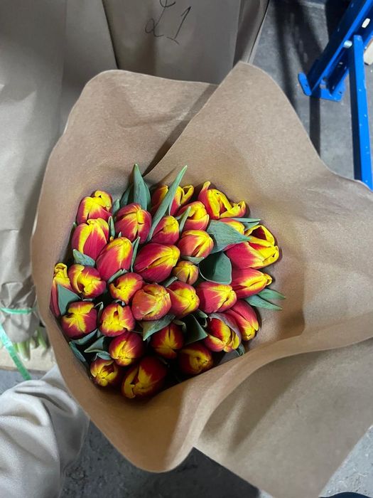 Тюлпан оптом Астана