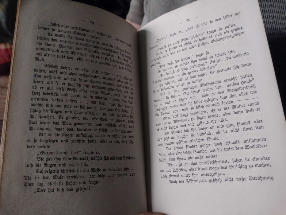 Продавам антикварни книги Frau Sorge, Acqua potabile