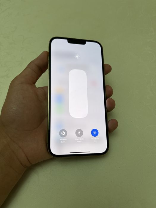 lphone 13pro max