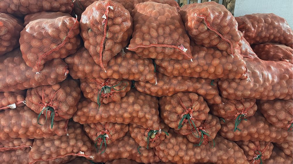 Продам картошку сорт гала