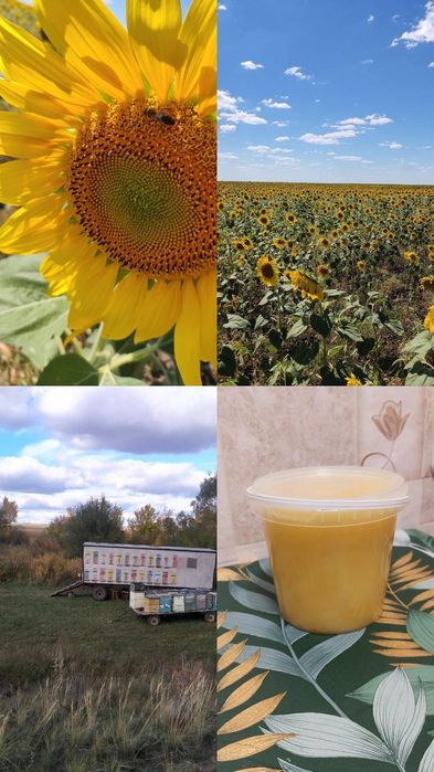 Натуральный мёд с личной пасеки