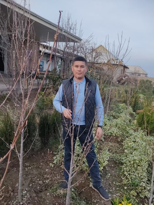 Manzarali daraxtlar va gullar. Landshaft dizayn. Obrezka, uxod.