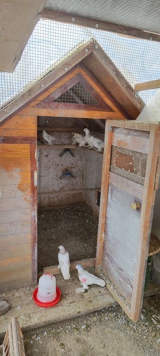 Продам домик для животных