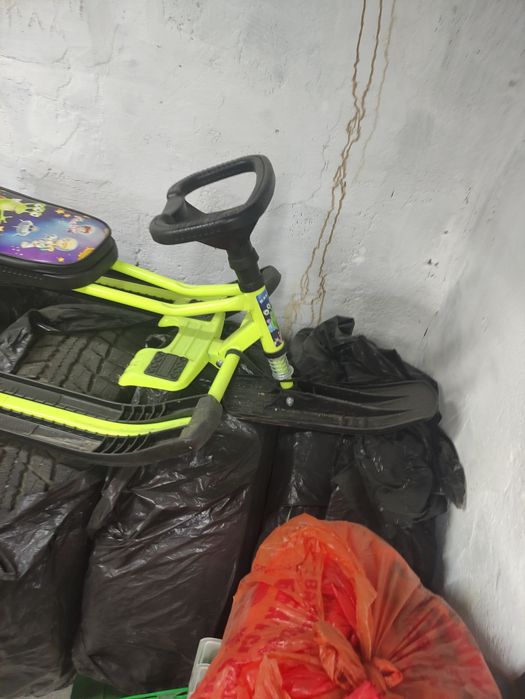 Аргамак  для катаний