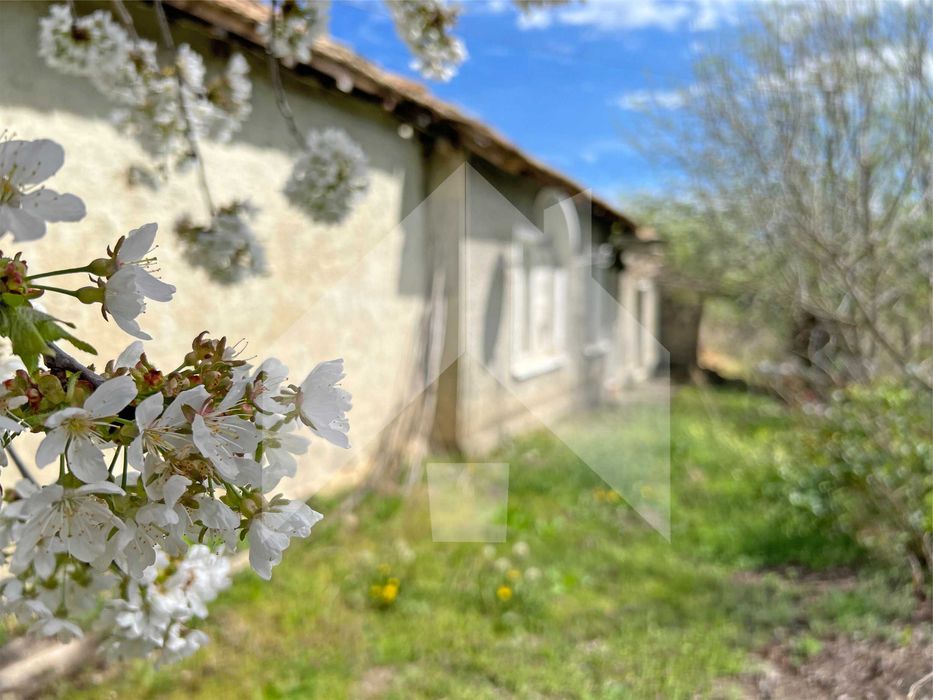 Продава се Къща в с. Зайчино ореше, Област Шумен - 61 кв.м за 318 €/кв.м - Снимка #19