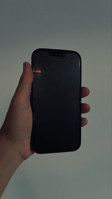 iPhone 13 100% / 128GB