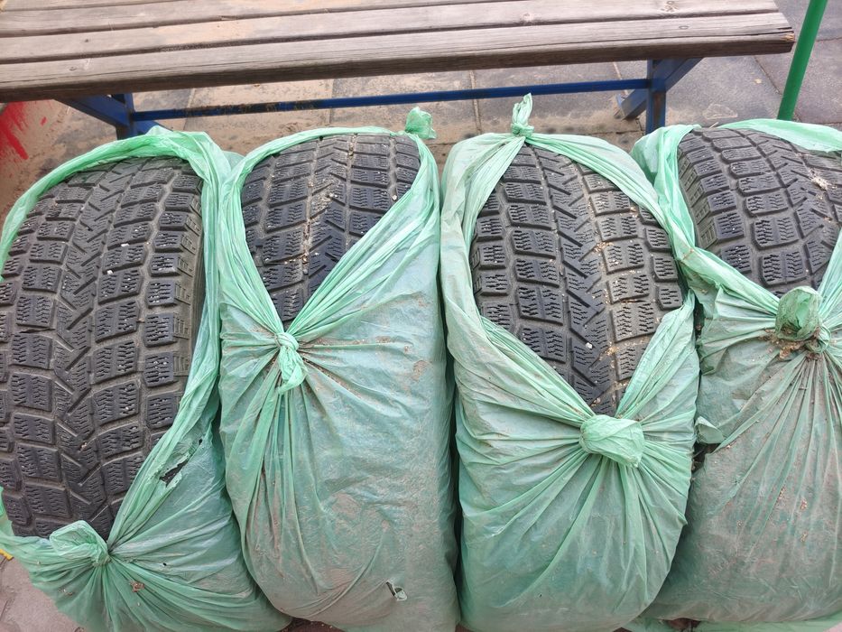 Шины зимние Maxxis