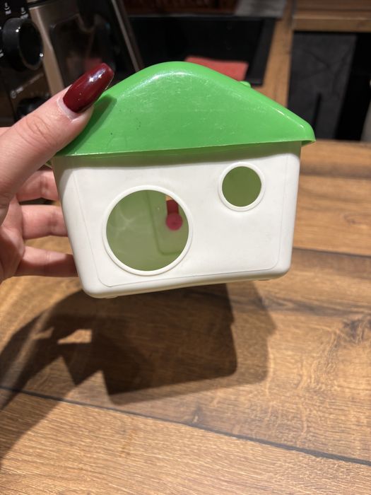 Всичко за хамстери