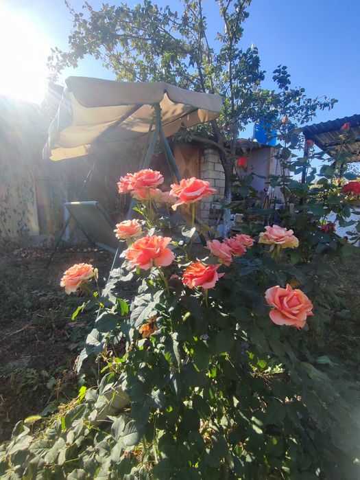 Продам дачу в с/о Дружба за Селекционным