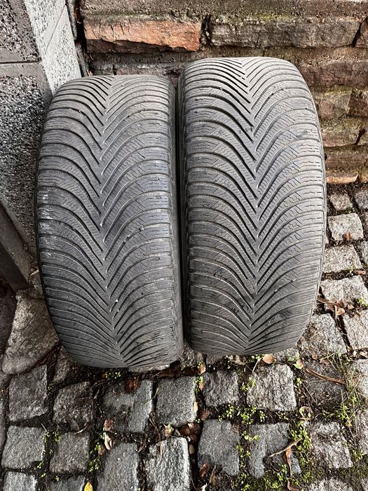 Michelin Alpin 5