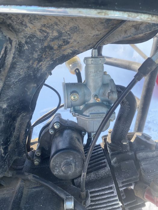 Альфа мустанг 110