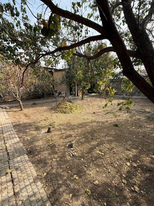 Yer sotiladi  3 - Qaxramonda