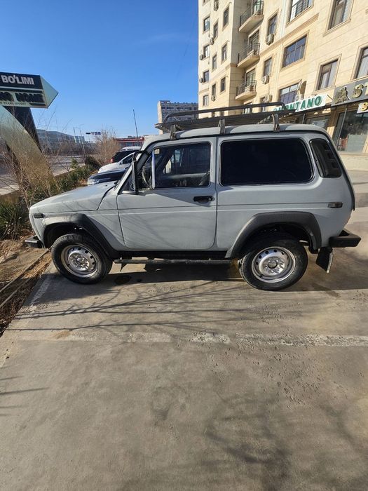 нива йили 1981 .