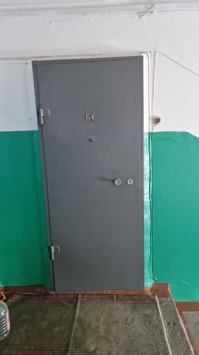 Дверь входная металлическая.