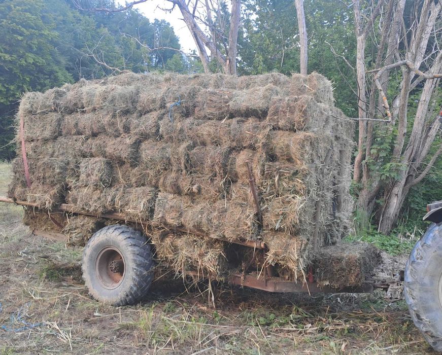 Baloți de Fân 2025