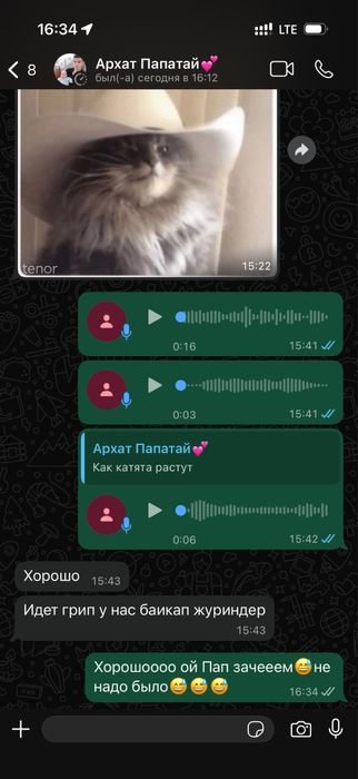 Шикарные котята мейн куны