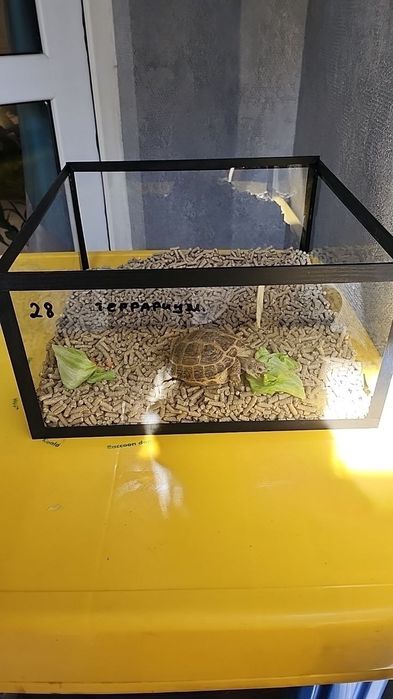 Изготавливаю аквариумы и террариумы на заказ (стекло)