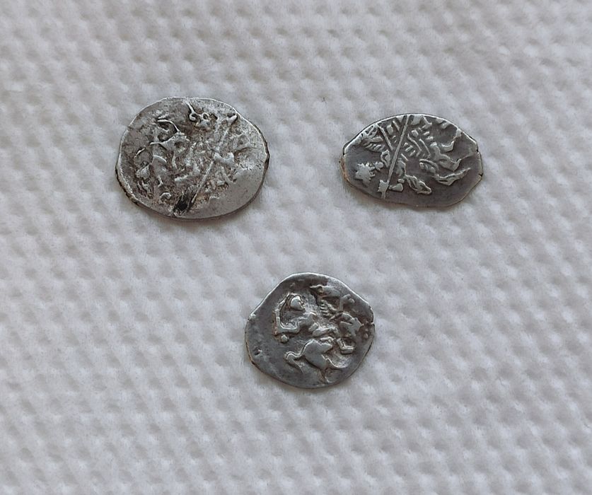 Серебряные монеты ( чешуйки )