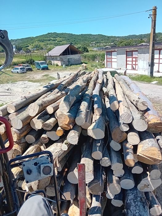 Lemne de foc esențe tari și moi