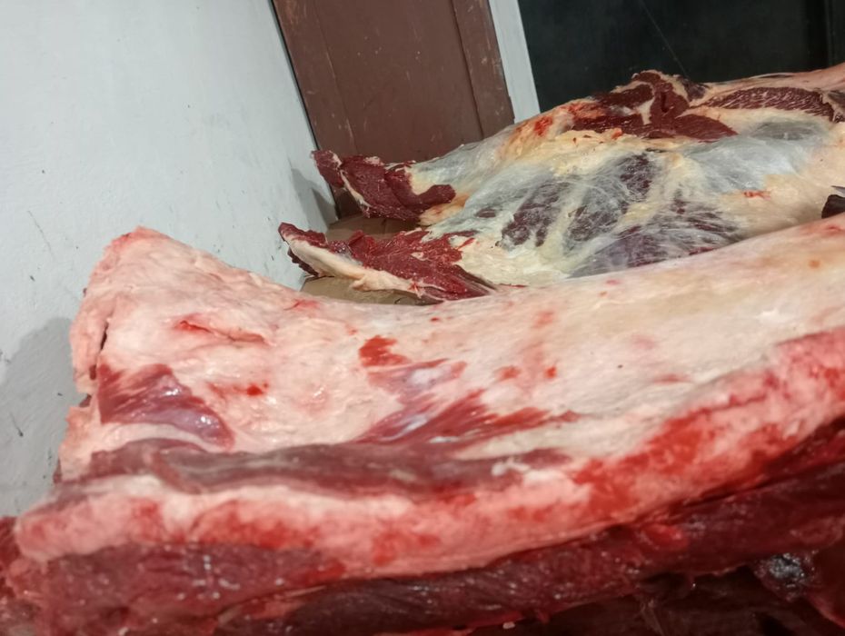 Конина. Мясо. Ет.