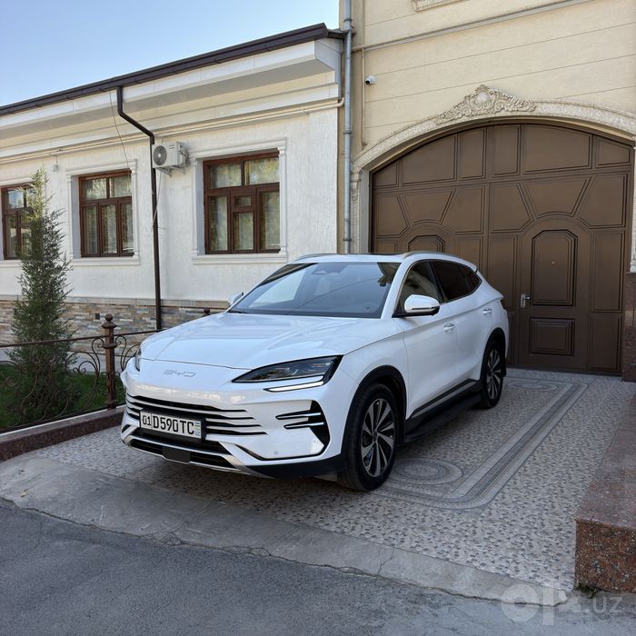 Byd champion hybrid 110tali 2024