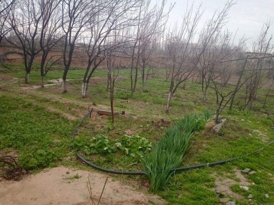 Hovli 15 sotix sotiladi