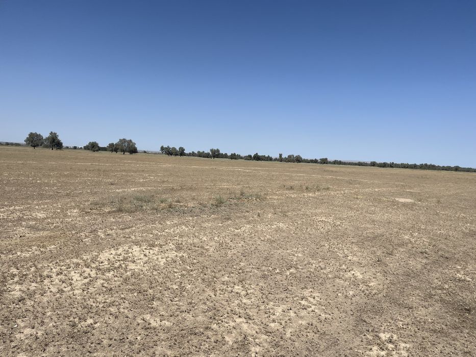 Продажа земельного участка