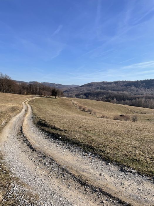 Teren in sat Tomnatic 4330mp