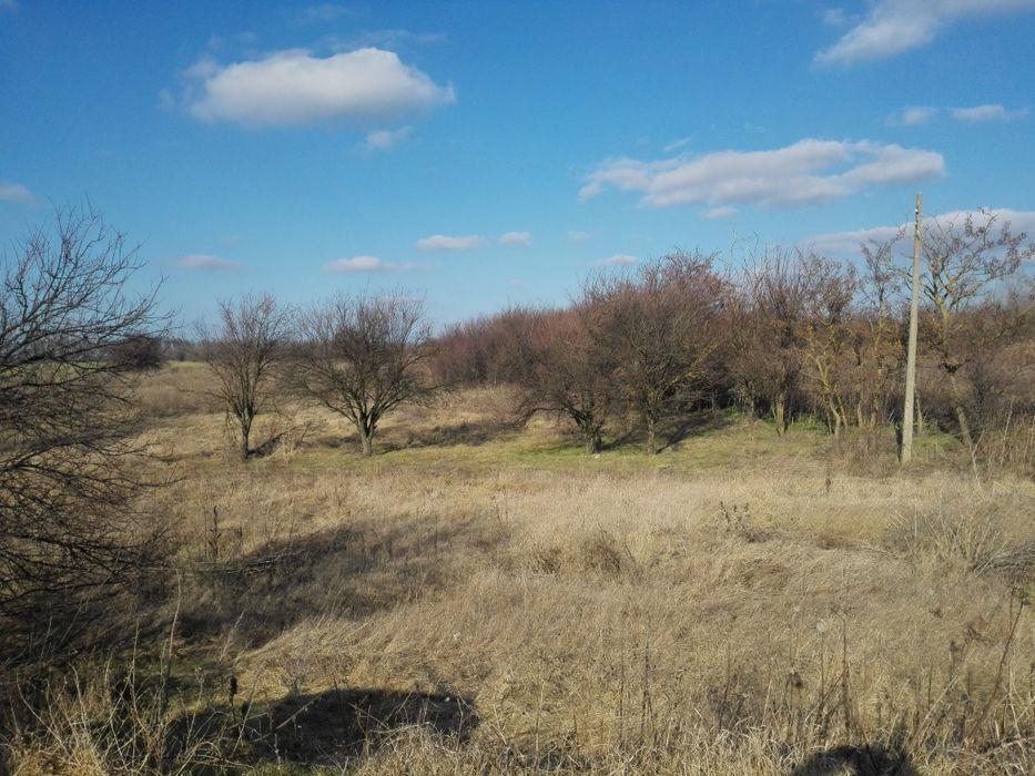 Парцел в регулация