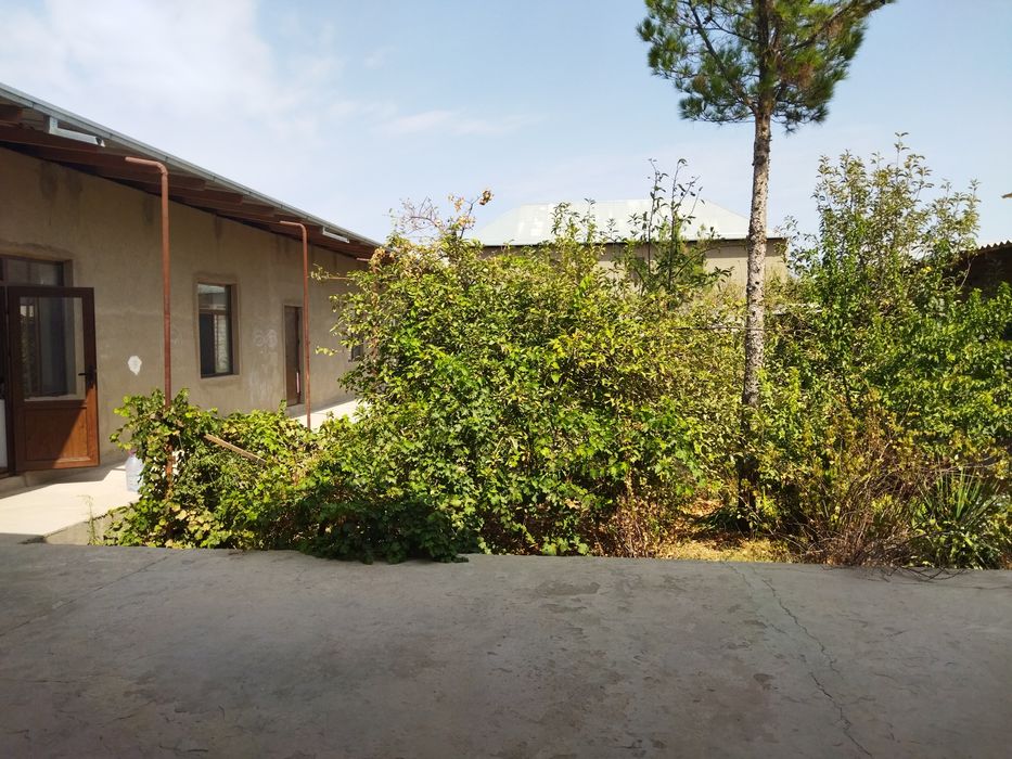 Uy sotiladi Hovli sotiladi 7 sotix