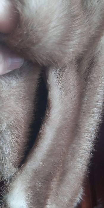 Capă  vizon  nepurtată