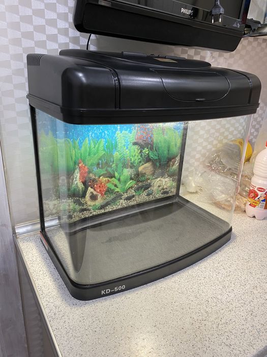 Продам аквариум