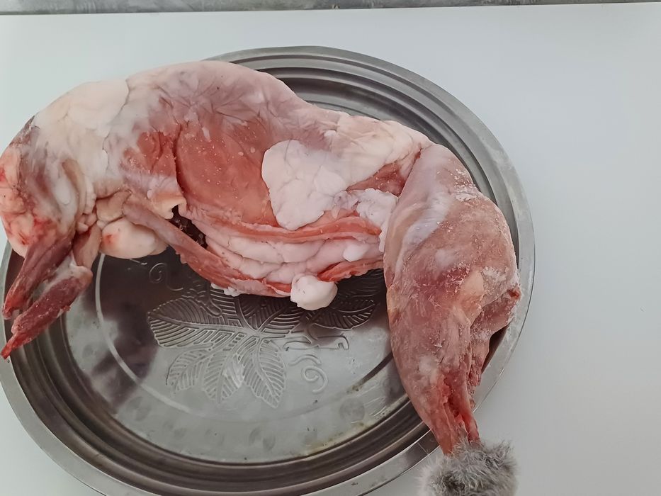 Продам мясо кроликов