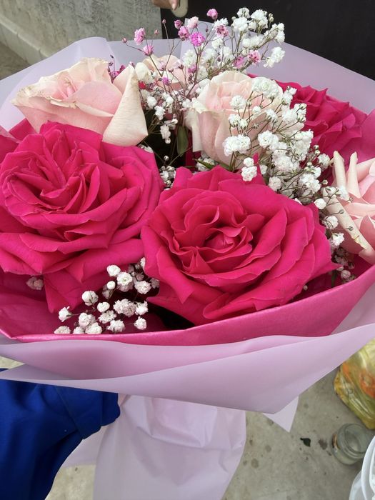 Харизентема розы все свежие