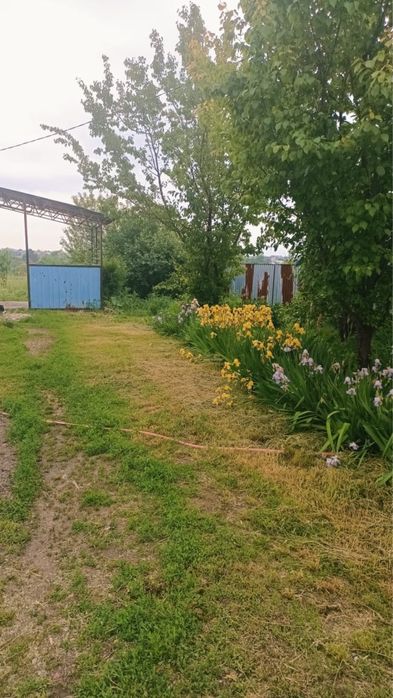 Продам дом в селе Али