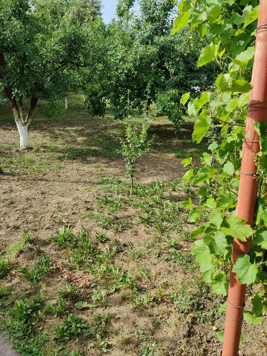 Casa de vanzare 6 camere Baicoi - Proprietar