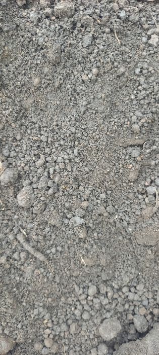 Чернозем горный.