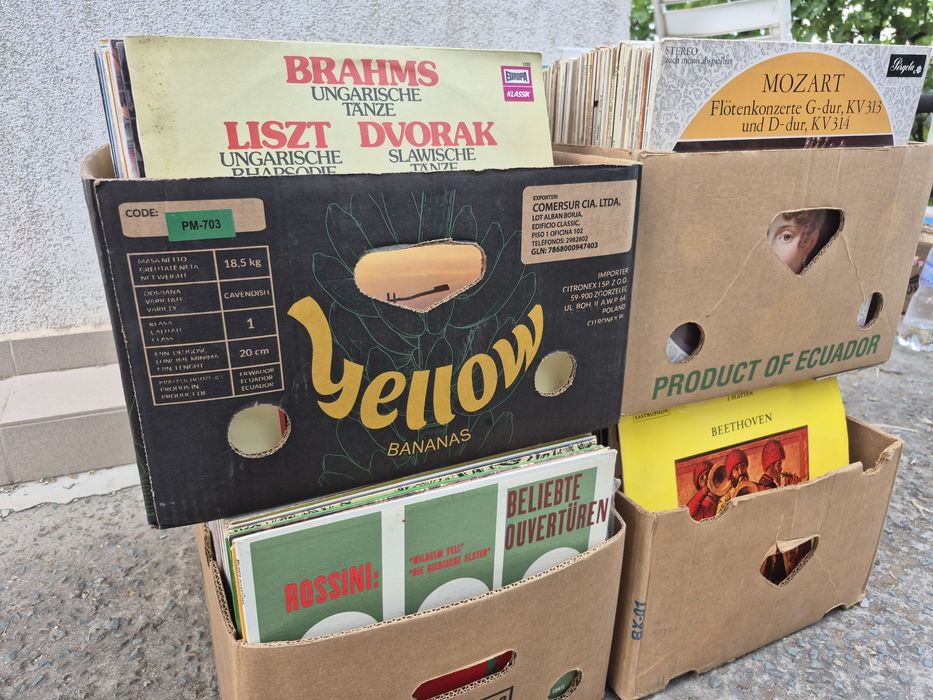 Vând Lot 100 Discuri Vinil colectie muzica clasica mixta