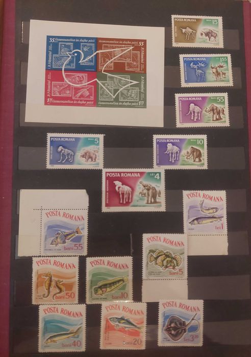 Timbre si colite romanesti nestampilate (8 poze)
