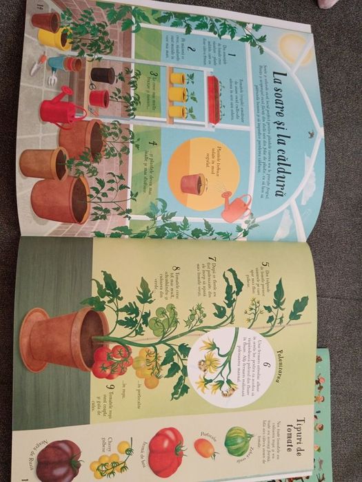 Cărți educative pentru copii