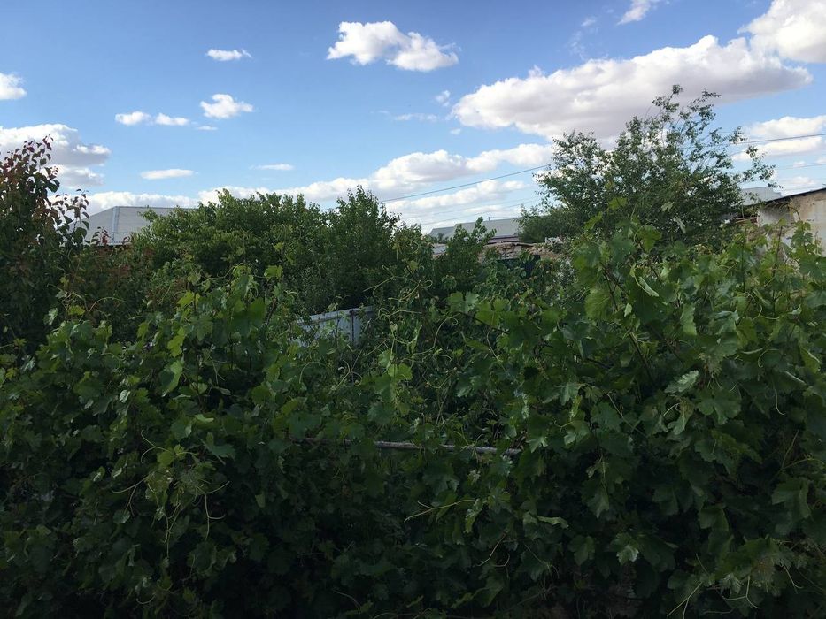 Дэудан 4сотихли ховли