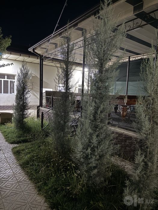 Archa sotiladi kiparis archa sotiladi