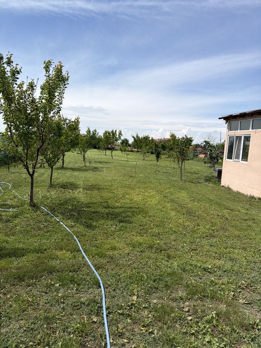 Vand casa cu livada in suprafata de 1000 mp