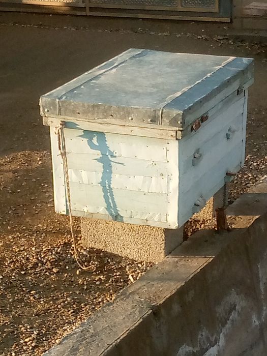 Ikta yashik sotiladi