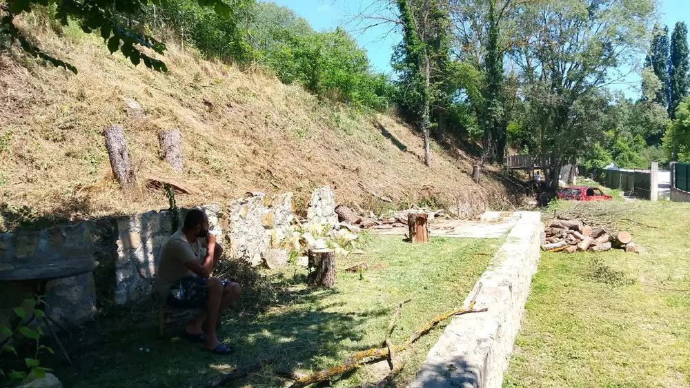 Почистване НА ПАРЦЕЛИ