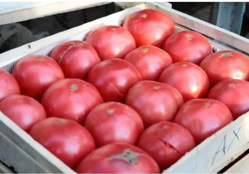 Томат Юсуповский розовый семена