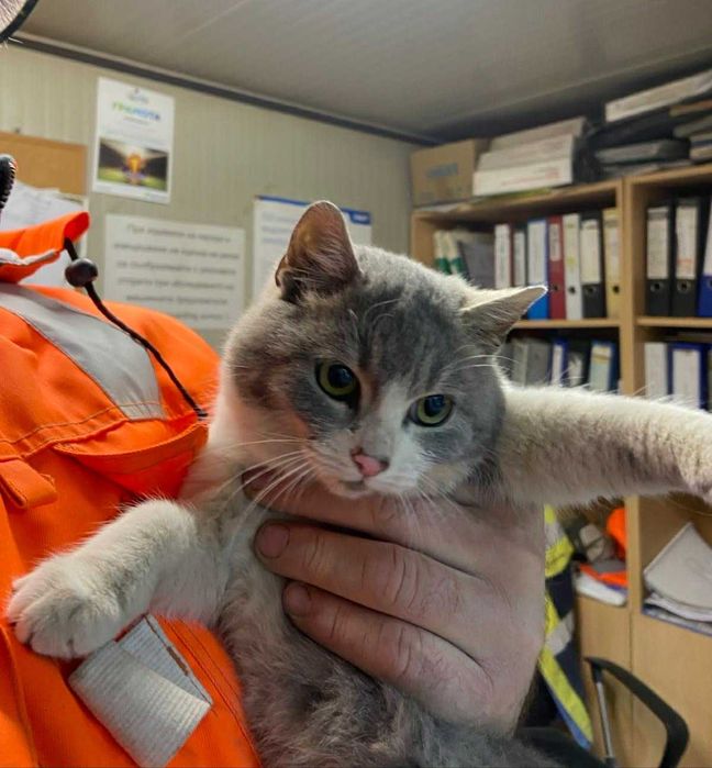 3/4-месечно момиченце от Враца търси дом!