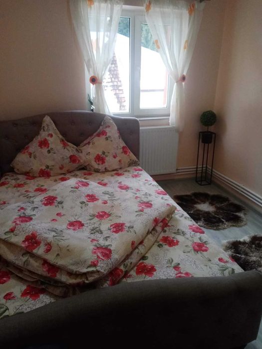 Cazare Bușteni Telecabină